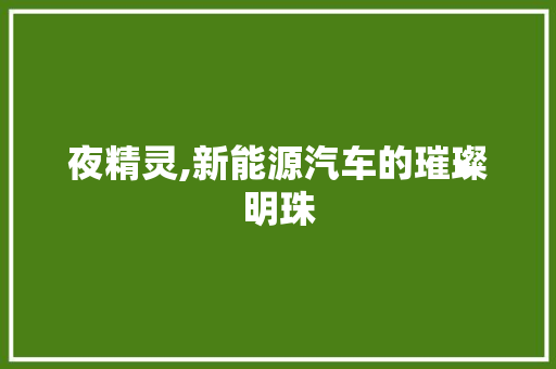 夜精灵,新能源汽车的璀璨明珠