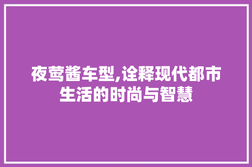 夜莺酱车型,诠释现代都市生活的时尚与智慧