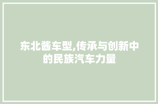 东北酱车型,传承与创新中的民族汽车力量 新款车型