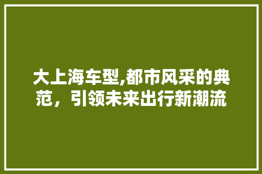 大上海车型,都市风采的典范，引领未来出行新潮流