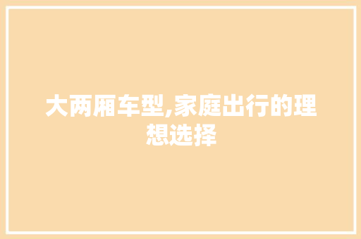 大两厢车型,家庭出行的理想选择