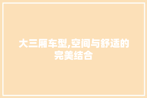 大三厢车型,空间与舒适的完美结合