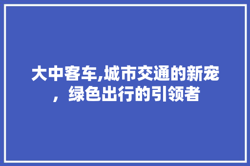 大中客车,城市交通的新宠，绿色出行的引领者