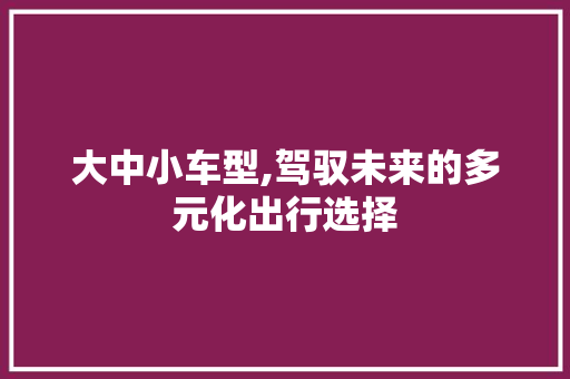 大中小车型,驾驭未来的多元化出行选择