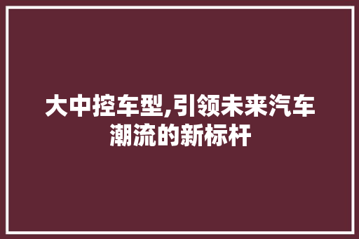 大中控车型,引领未来汽车潮流的新标杆