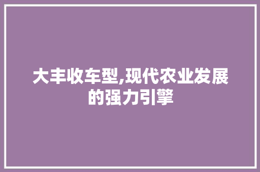 大丰收车型,现代农业发展的强力引擎