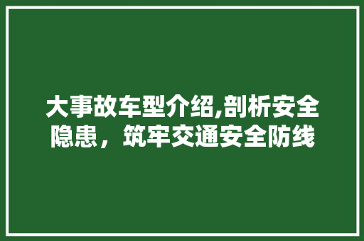 大事故车型介绍,剖析安全隐患，筑牢交通安全防线