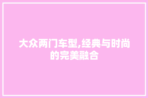 大众两门车型,经典与时尚的完美融合