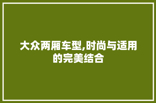 大众两厢车型,时尚与适用的完美结合
