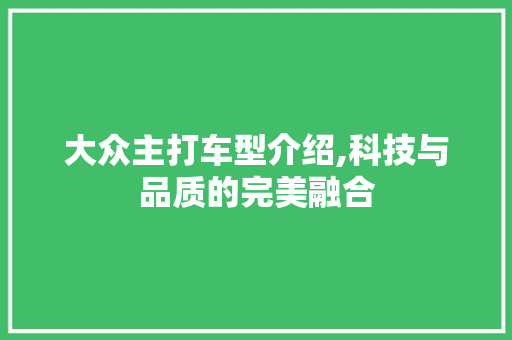 大众主打车型介绍,科技与品质的完美融合