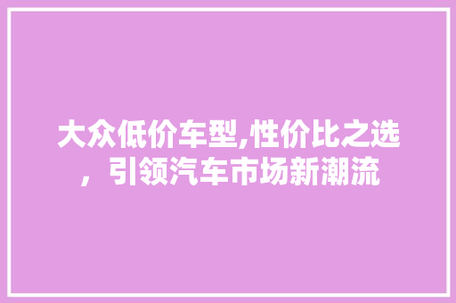 大众低价车型,性价比之选，引领汽车市场新潮流
