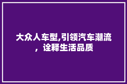大众人车型,引领汽车潮流，诠释生活品质