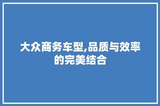大众商务车型,品质与效率的完美结合