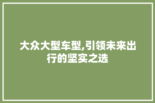 大众大型车型,引领未来出行的坚实之选