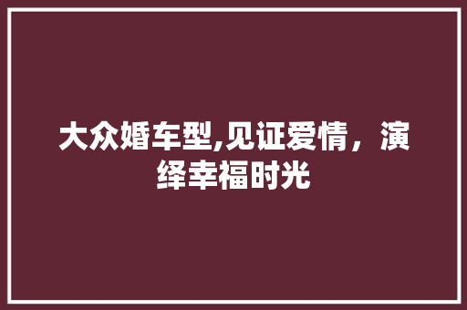 大众婚车型,见证爱情，演绎幸福时光