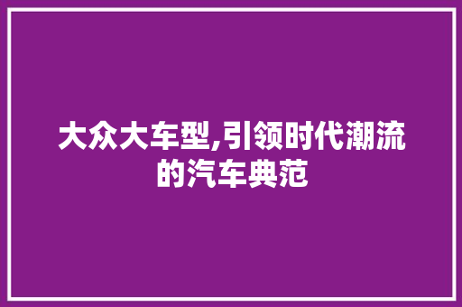 大众大车型,引领时代潮流的汽车典范