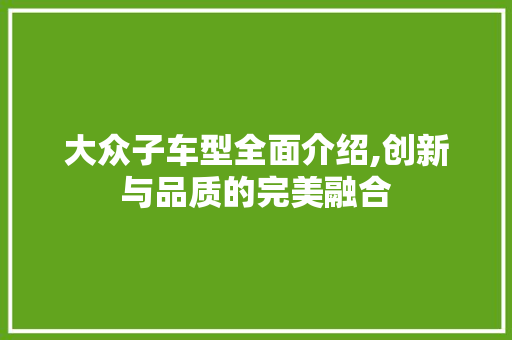 大众子车型全面介绍,创新与品质的完美融合
