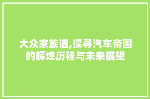 大众家族谱,探寻汽车帝国的辉煌历程与未来展望