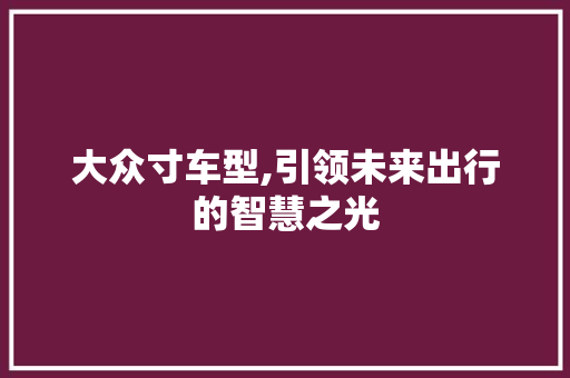 大众寸车型,引领未来出行的智慧之光