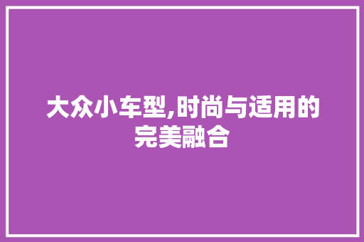 大众小车型,时尚与适用的完美融合