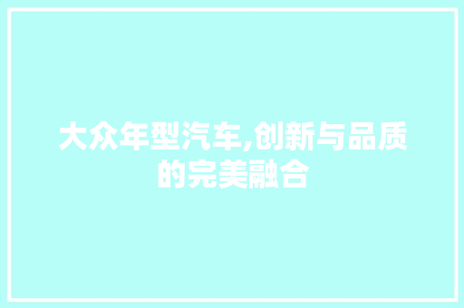 大众年型汽车,创新与品质的完美融合