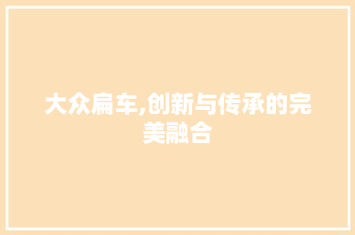 大众扁车,创新与传承的完美融合