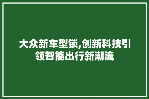 大众新车型锁,创新科技引领智能出行新潮流
