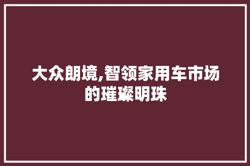 大众朗境,智领家用车市场的璀璨明珠