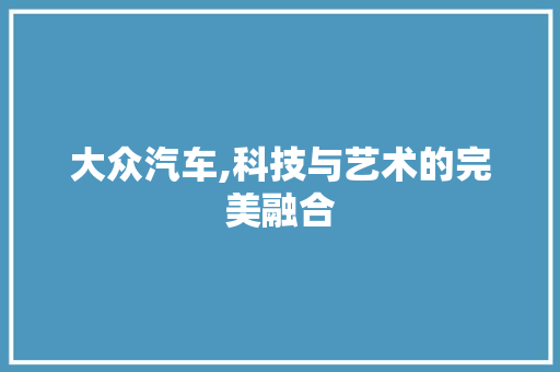 大众汽车,科技与艺术的完美融合