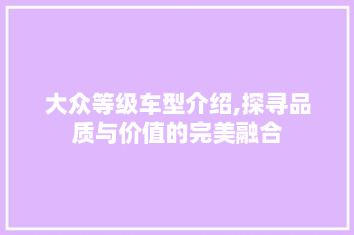 大众等级车型介绍,探寻品质与价值的完美融合 车身配件