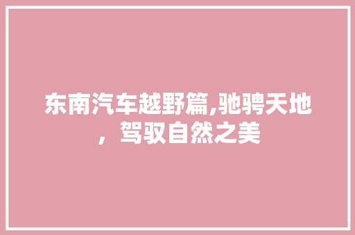 东南汽车越野篇,驰骋天地，驾驭自然之美 底盘配件