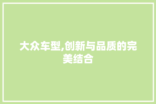 大众车型,创新与品质的完美结合