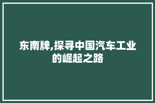 东南牌,探寻中国汽车工业的崛起之路 蓄电池配件