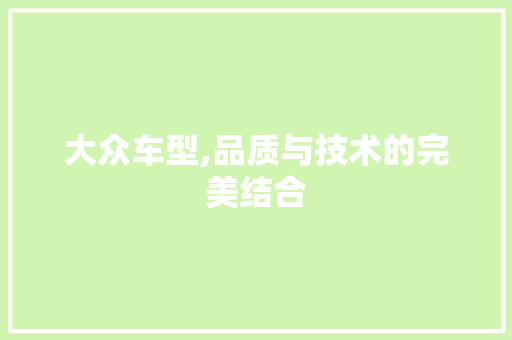 大众车型,品质与技术的完美结合