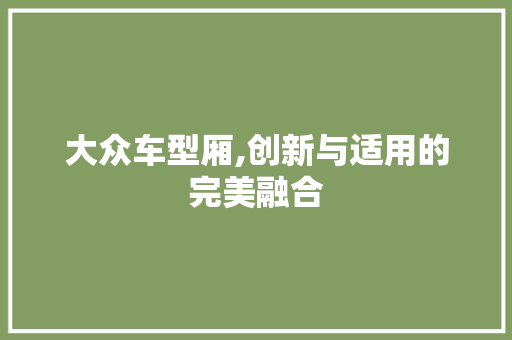 大众车型厢,创新与适用的完美融合