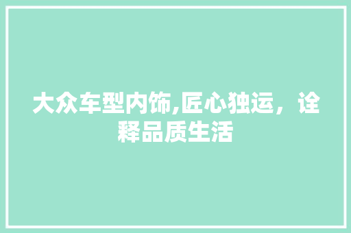 大众车型内饰,匠心独运，诠释品质生活