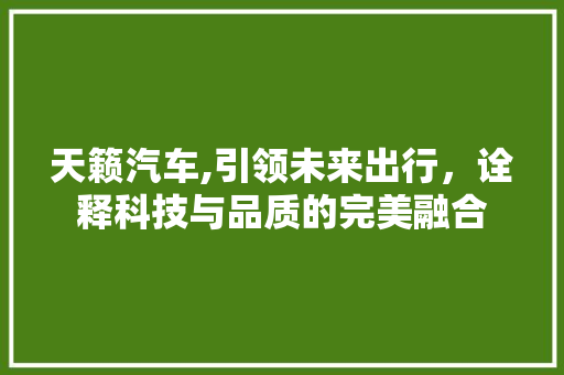 天籁汽车,引领未来出行，诠释科技与品质的完美融合