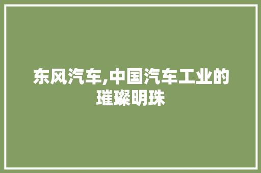 东风汽车,中国汽车工业的璀璨明珠