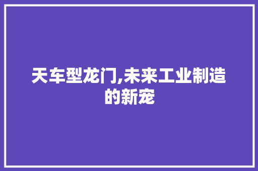 天车型龙门,未来工业制造的新宠