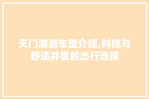 天门滴滴车型介绍,科技与舒适并重的出行选择