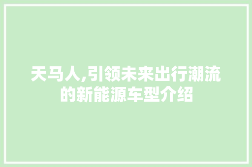 天马人,引领未来出行潮流的新能源车型介绍