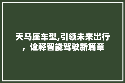 天马座车型,引领未来出行，诠释智能驾驶新篇章 新能源汽车