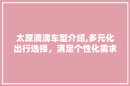 太原滴滴车型介绍,多元化出行选择，满足个性化需求