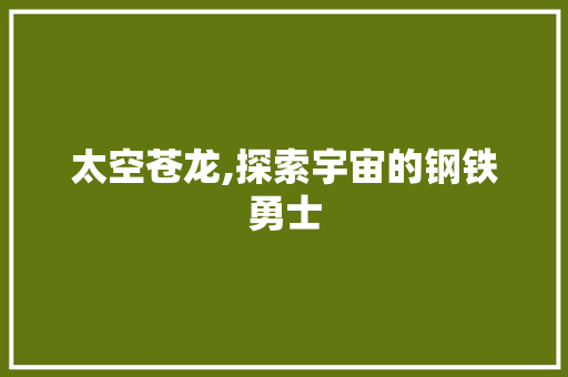 太空苍龙,探索宇宙的钢铁勇士