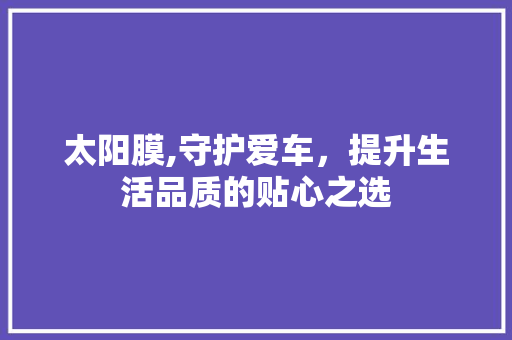 太阳膜,守护爱车，提升生活品质的贴心之选