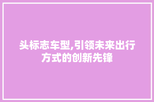 头标志车型,引领未来出行方式的创新先锋