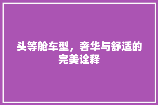 头等舱车型，奢华与舒适的完美诠释