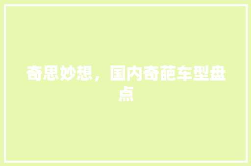 奇思妙想，国内奇葩车型盘点