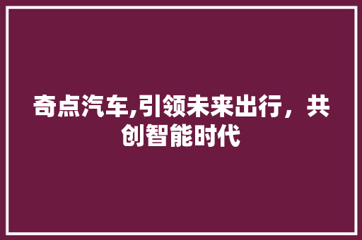 奇点汽车,引领未来出行，共创智能时代