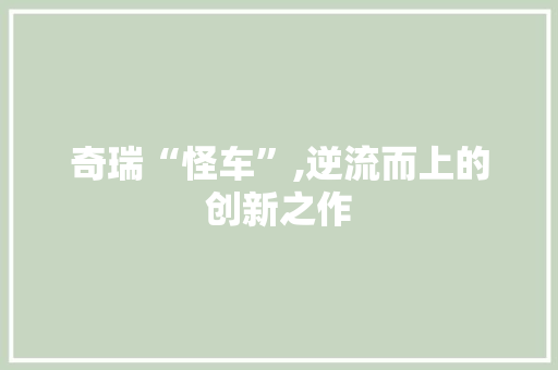 奇瑞“怪车”,逆流而上的创新之作